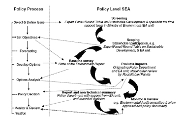 Scheme for integrating examples of existing processes and tools into SEA and a generalized policy process. Source: Sheate et al (2003)