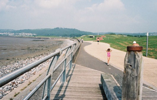 Cycle path running the full length of the Park