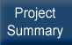 Project Summary